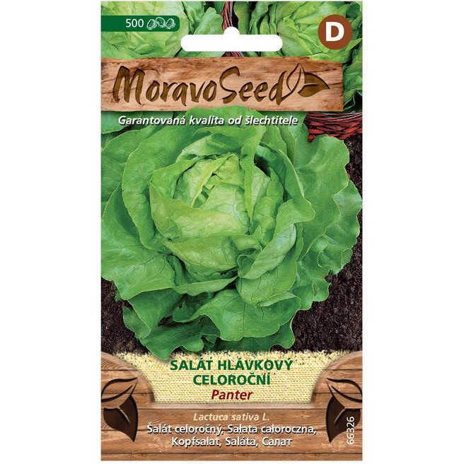 MORAVOSEED Fejes saláta egész évben termő PANTER (3546mm)