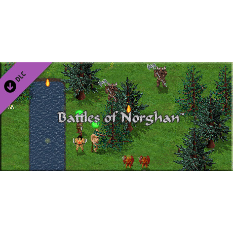 Battles of Norghan - Gold Version (PC - Steam elektronikus játék licensz)
