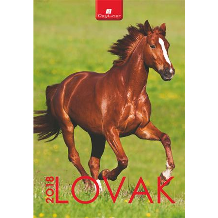Dayliner Fali Naptár - Lovak (GO8-FA-LO-B4)