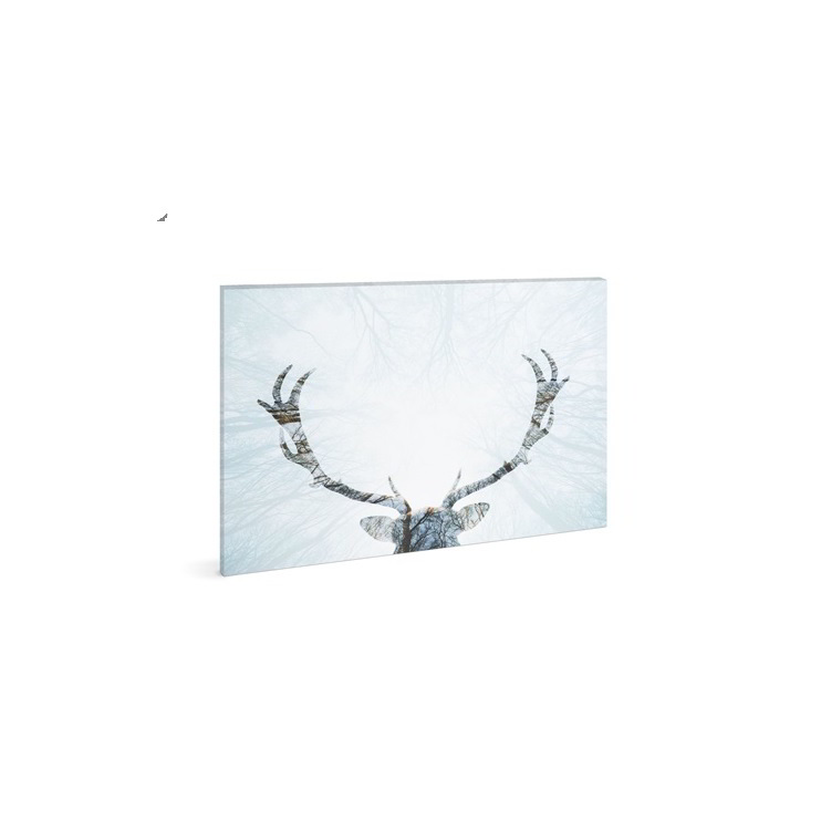 Family Decor 58481A LED-es Fali kép rénszarvas - 40x30 cm (58481A)