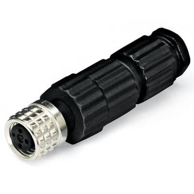 WAGO 756-9112/030-000 Érzékelő-/működtető összekötő, konfekcionálatlan M8 Alj, egyenes Pólusszám: 3 5 db (756-9112/030-000)