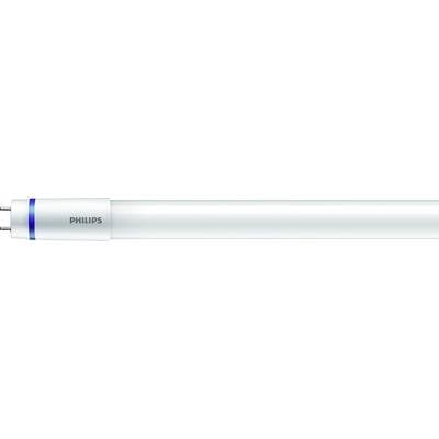 Philips Lighting LED EEK: C (A - G) G13 Cső forma T8 KVG, VVG 12.5 W Semleges fehér (O x H) 28 mm x 1200 mm 10 db (59237000) (59237000)