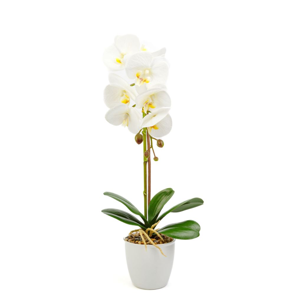 Műnövény dekoráció orchidea fehér 48 cm (11901B)