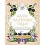 Antik anatómia tarot