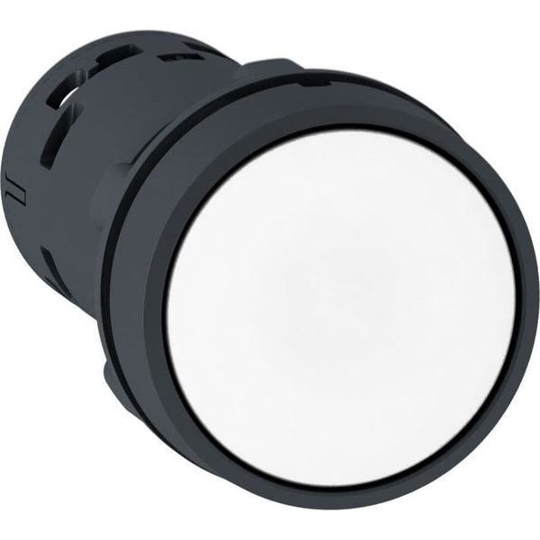 Schneider Electric XB7 Knop