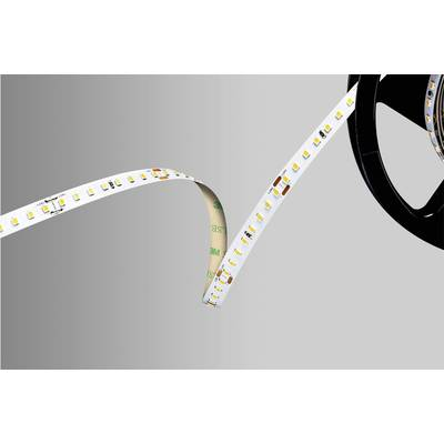 Barthelme  (51542234) LED csík 24 V 5000 mm Hidegfehér 5 m