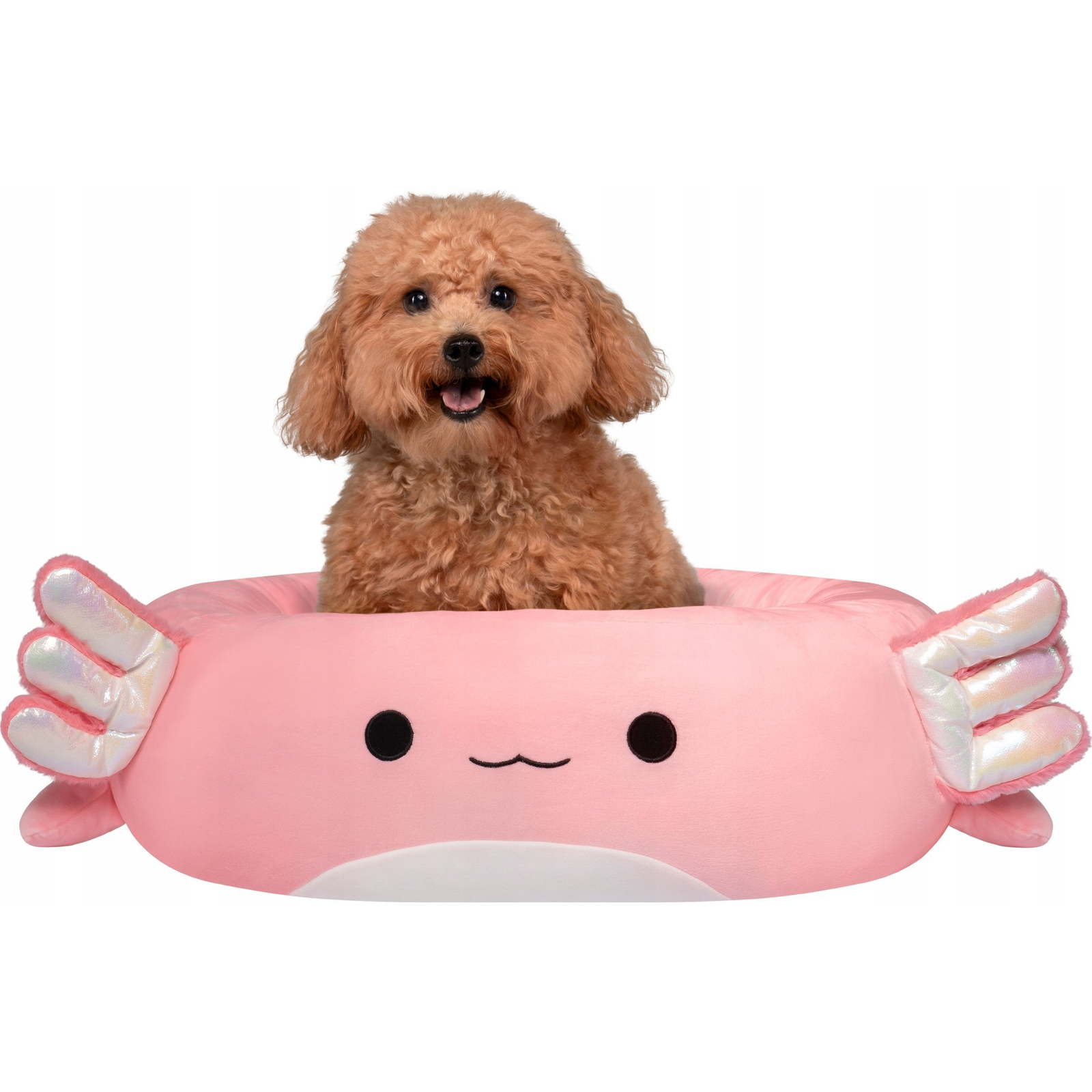 JAS PETS LEGOWISKO S 50CM AXOLOT