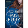 A Court of Mist and Fury - Köd és harag udvara - Tüskék és rózsák udvara 2.