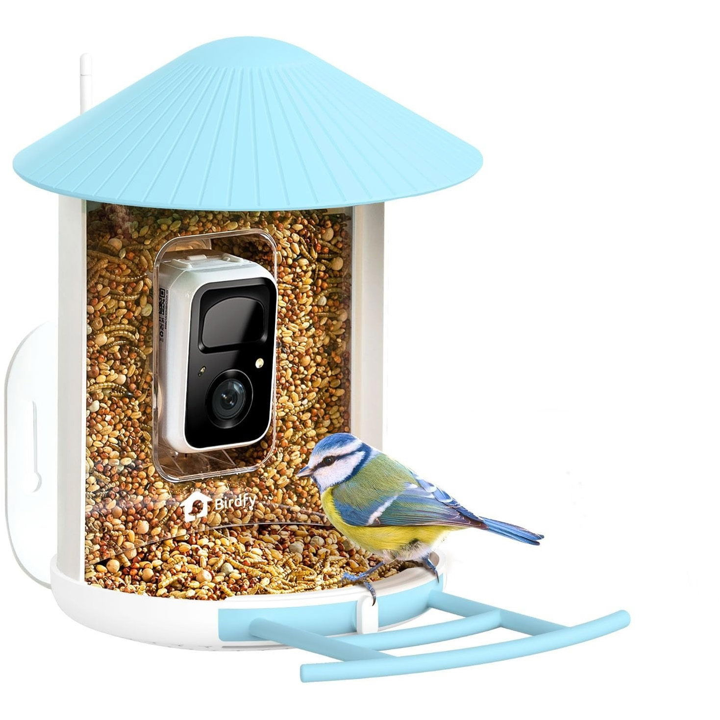 Birdfy Feeder (AI doživotně zdarma) (EPPAMBNI8101100)