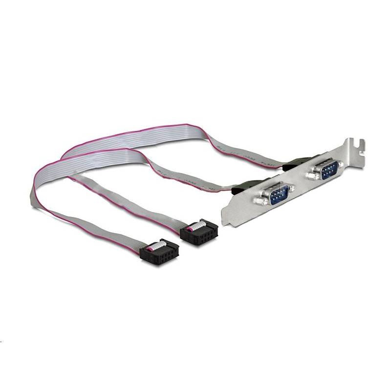 Delock Slot Konzol > 2 x Soros (89268) (89268)