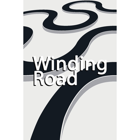 Winding Road (PC - Steam elektronikus játék licensz)