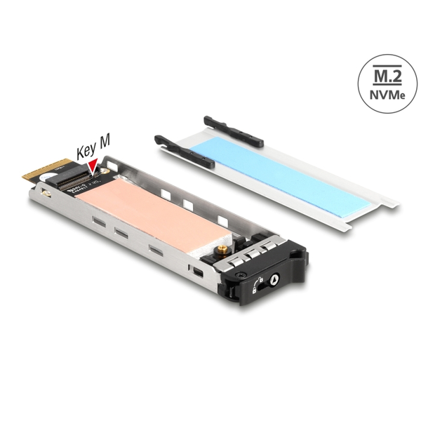 DELOCK Wechselrahmen Einschub 1 x M.2 NMVe SSD
