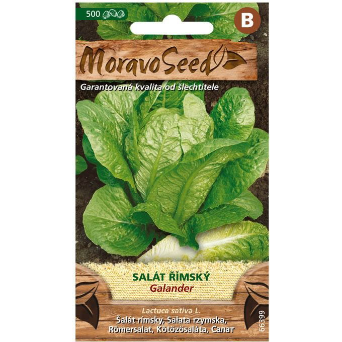 Római saláta GALANTER (3600mm)