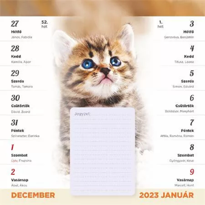 Toptimer 220 x 220mm 2023 Mágneses falinaptár - Cicás (22T9000-001/2023)