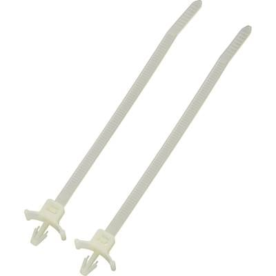 Kábelkötöző 157 mm natúr Tru Components 1592822 TC-PCV155203 1 db (1592822)