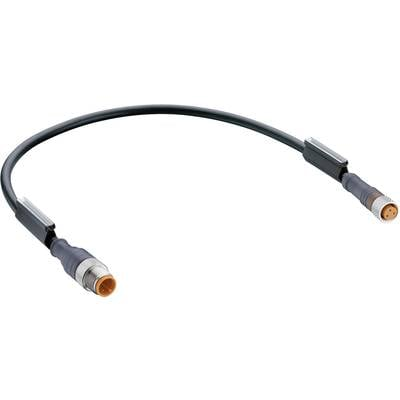 Lumberg Automation RST 3-RKMV 3-224/1M-1 Érzékelő-/működtető összekötő, konfekcionált M8 Dugó, egyenes, Alj, egyenes 1.00 m Pólusszám: 3 1 db (RST 3-RKMV 3-224/1M-1)
