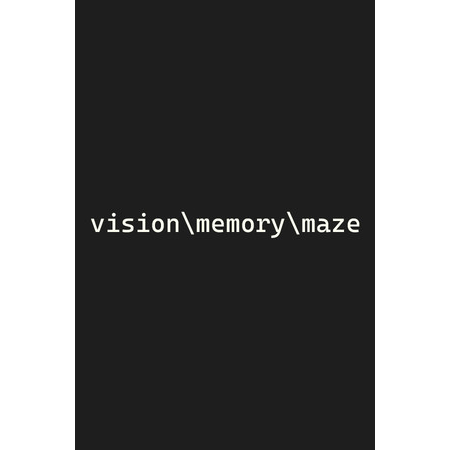 vision\memory\maze (PC - Steam elektronikus játék licensz)