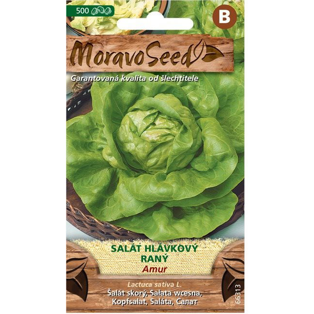 MORAVOSEED Fejes saláta korai AMUR (3432mm)