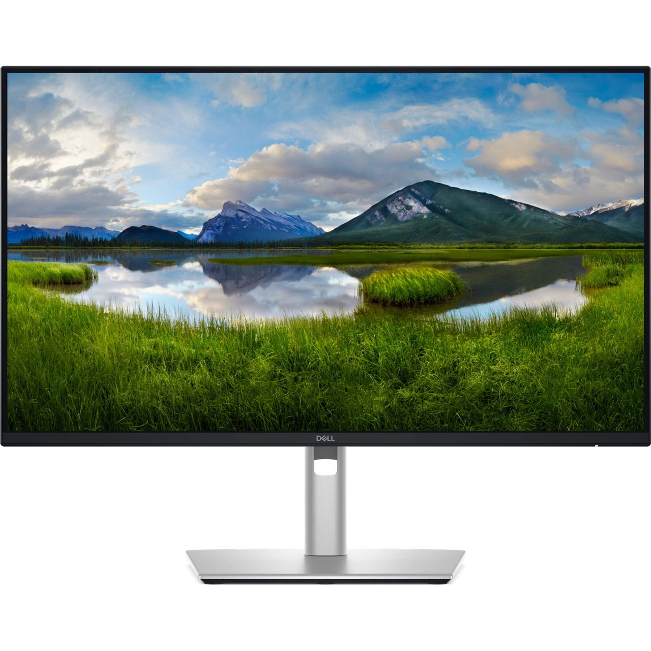 Dell Pro 24 Plus (P2425DE) 24