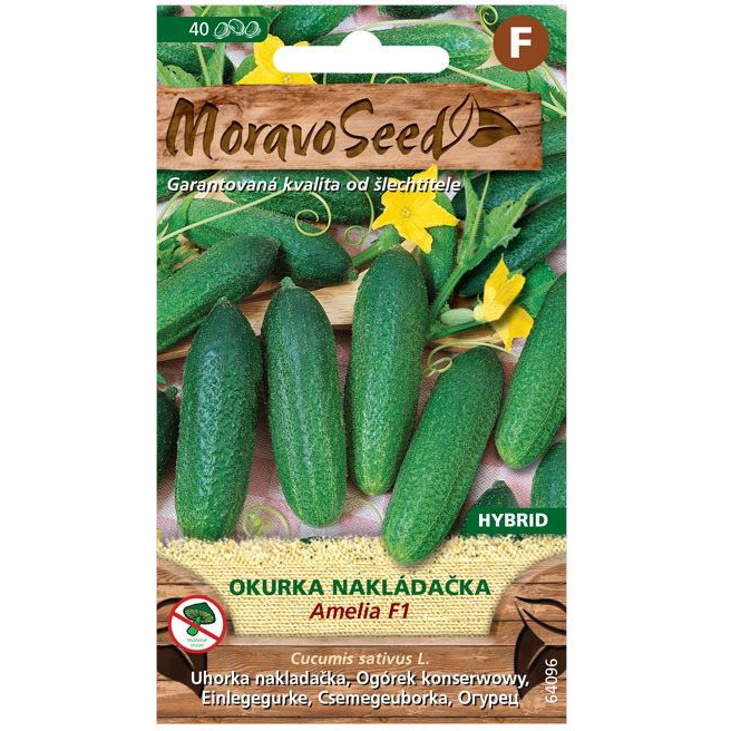 Uborka kovászolni való AMELIA F1 - hibrid (2001mm)