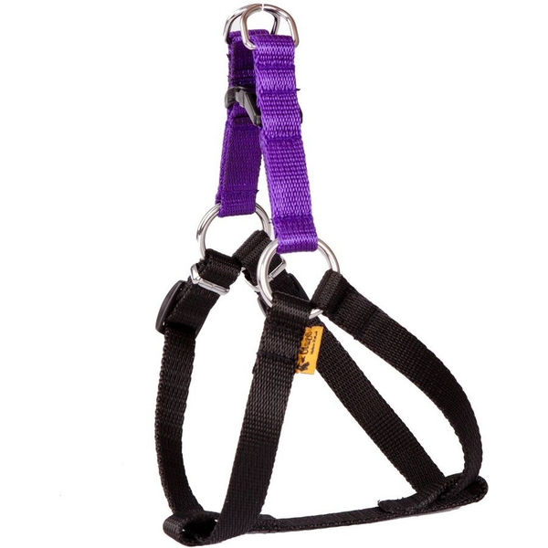 Dingo Fred Energy rozmiar 50 szer. 1.6 cm Fioletowe (94632)