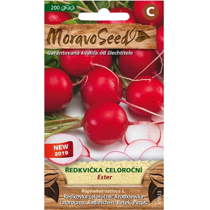 Piros retek ESTER, évelő (3092mm)