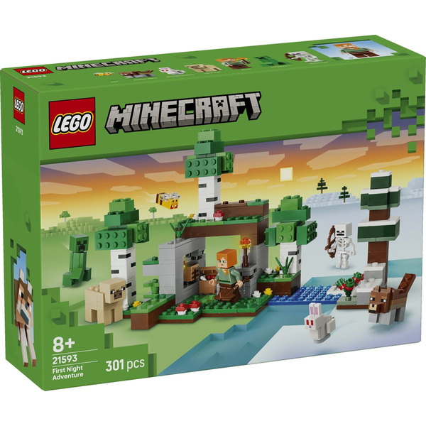 LEGO Minecraft 21593 První noční dobrodružství