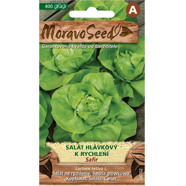 Fejes saláta SAFÍR, gyors fejlődésű (3405mm)