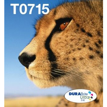 Epson T071 inktcartridge 1 stuk(s) Origineel Normaal rendement Zwart, Cyaan, Magenta, Geel