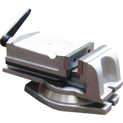 Satu Holzmann Maschinen Pofa szélesség: 100 mm Szorítási szélesség (max.): 75 mm (I100)