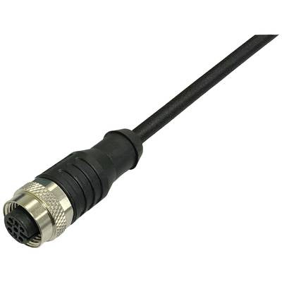BKL Electronic 2702005 Érzékelő-/működtető csatlakozóvezeték M12 Csatlakozóaljzat, egyenes 10 m Pólusszám: 4 1 db (2702005)