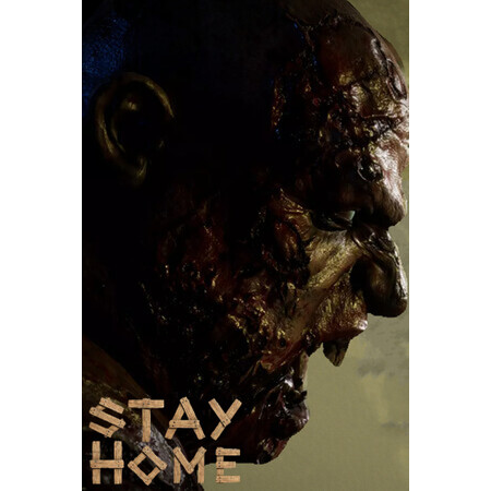Stay Home (PC - Steam elektronikus játék licensz)