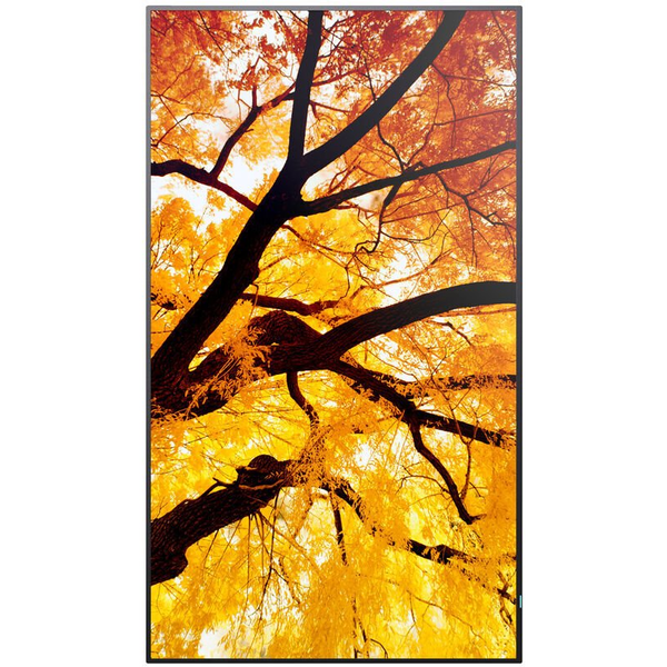 Sharp MultiSync M432 Digital fladpaneldisplay 108 cm (42.5") LCD 550 cd/m² 4K Ultra HD Sort