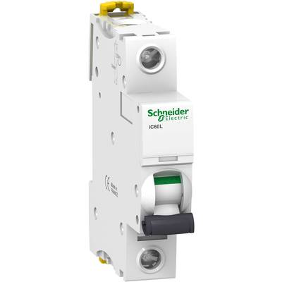 Schneider Electric A9F92120 zekering 1