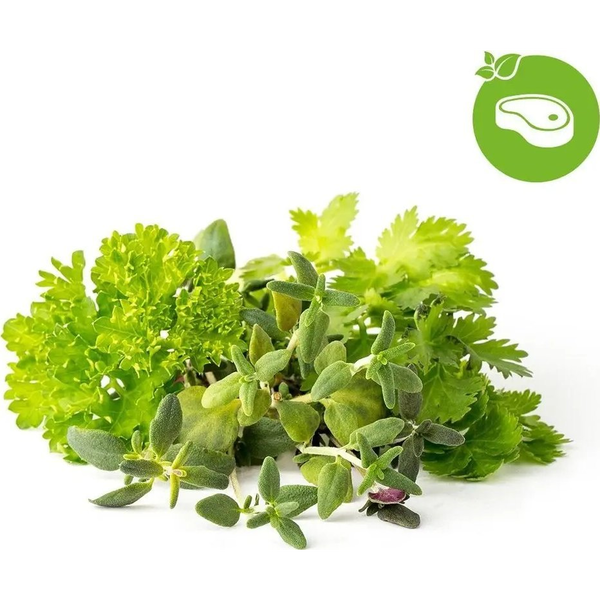 CLICKNGROW Grill&Steak Mix kapszula magvakkal és szubsztrátummal 9db
