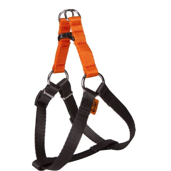 Dingo szelki fred "energy" rozmiar 40 szer. 1,2 cm, z taśmy polipropylenowej orange+black - 94607