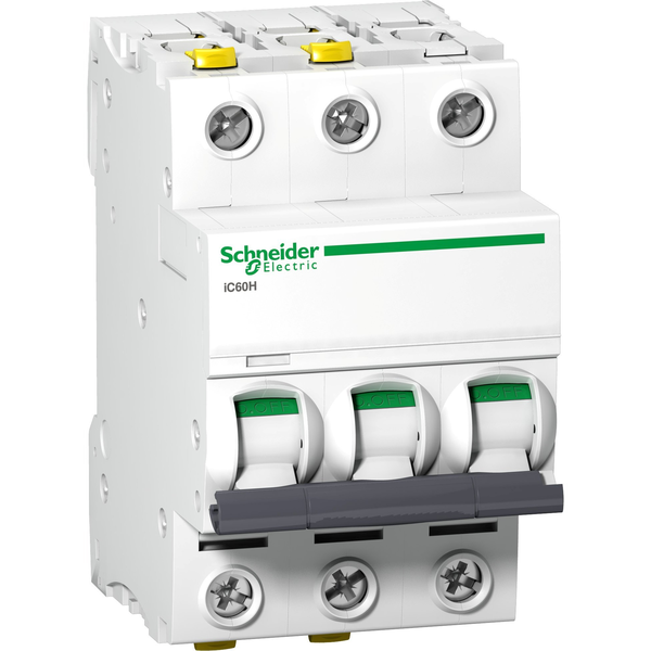 Schneider Electric A9F06320 áramköri megszakító 3