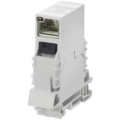 Alj, beépíthető IE-TO-RJ45-C Weidmüller Tartalom: 1 db (8946920000-1)