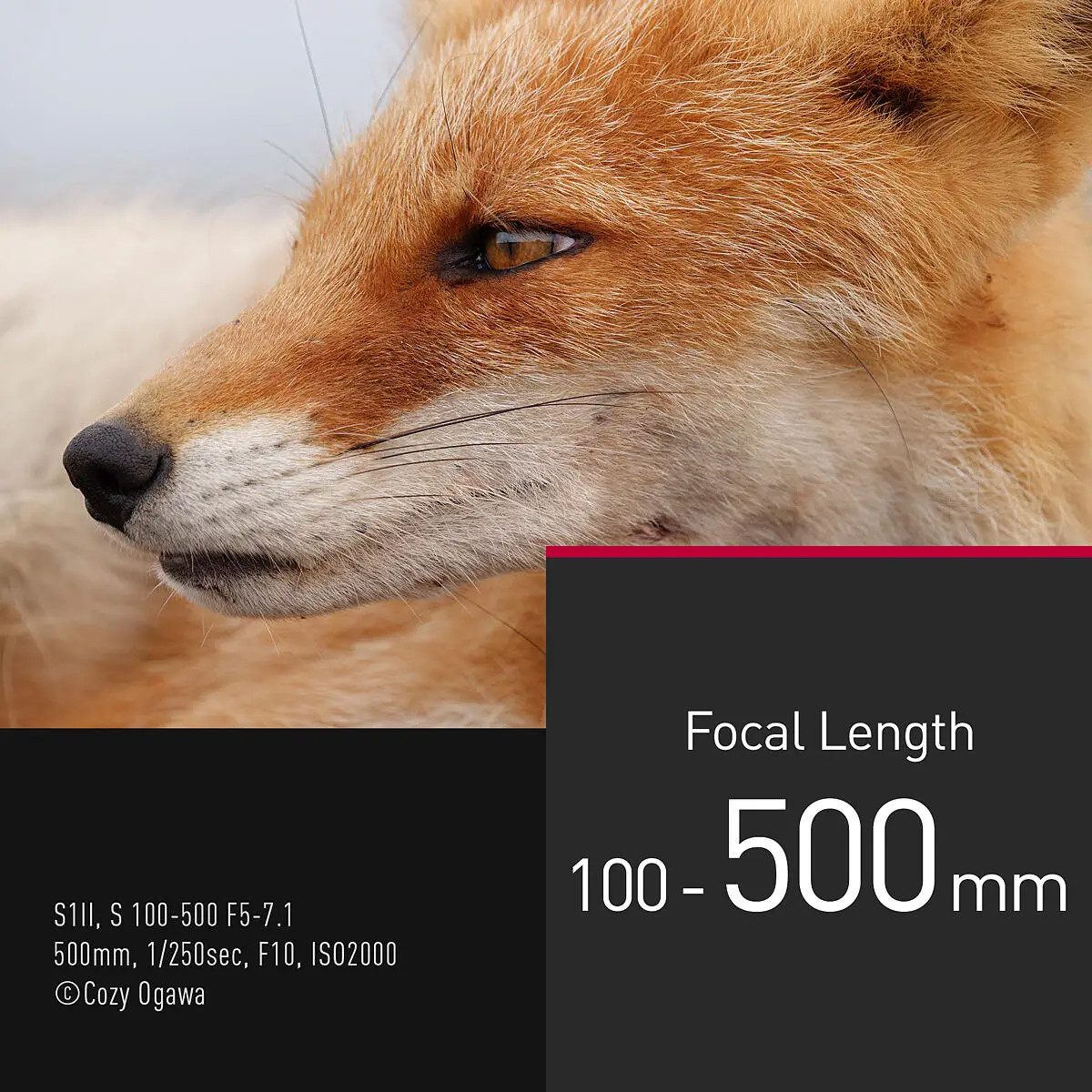 PANASONIC LUMIX S 100-500mm F5.0-7.1 OIS objektív S-R100500E (S-R100500E)