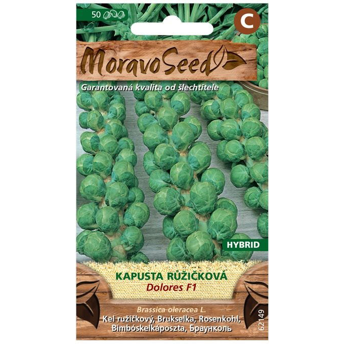 MORAVOSEED Kelbimbó DOROLES F1 - hibrid (1203mm)