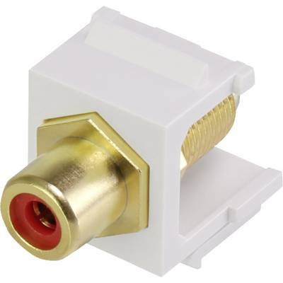 Renkforce RF-KS-RCAFR RCA beépíthető modul Keystone (RF-3434012)