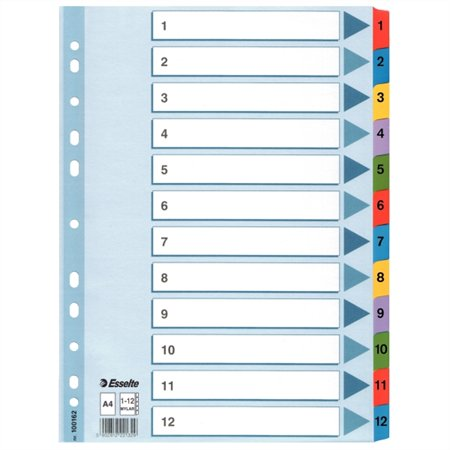 Esselte Mylar A4 Laminált karton regiszter (100162)