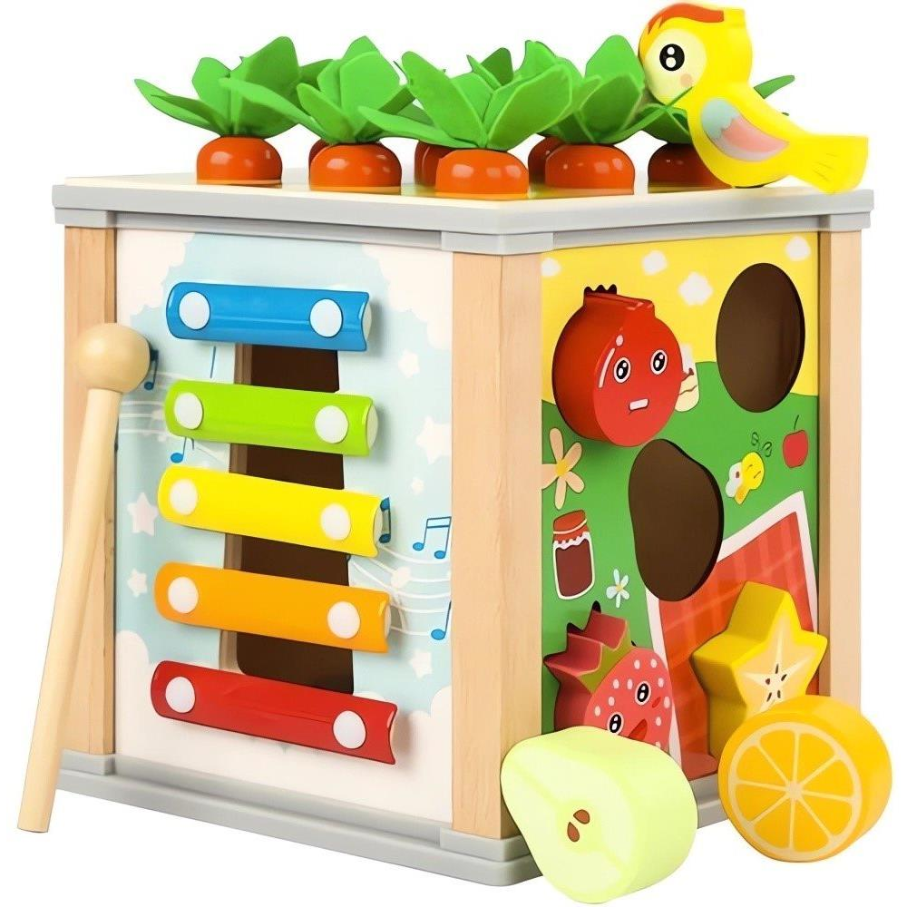 Kruzzel 22566 Insertable wooden educational cube 5in1 (51579)