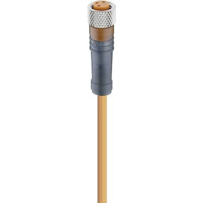 Lumberg Automation 11295-1 Érzékelő-/működtető összekötő, konfekcionált M8 Alj, egyenes 5.00 m Pólusszám: 3 1 db (11295-1)