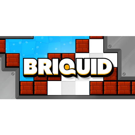 Briquid (PC - Steam elektronikus játék licensz)