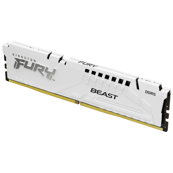 Kingston 16GB / 6000 Fury Beast DDR5 RAM