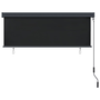 Jaluzea tip rulou de exterior, antracit, 170 x 250 cm