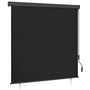 Jaluzea tip rulou de exterior, antracit, 170 x 250 cm
