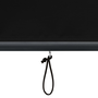 Jaluzea tip rulou de exterior, antracit, 170 x 250 cm