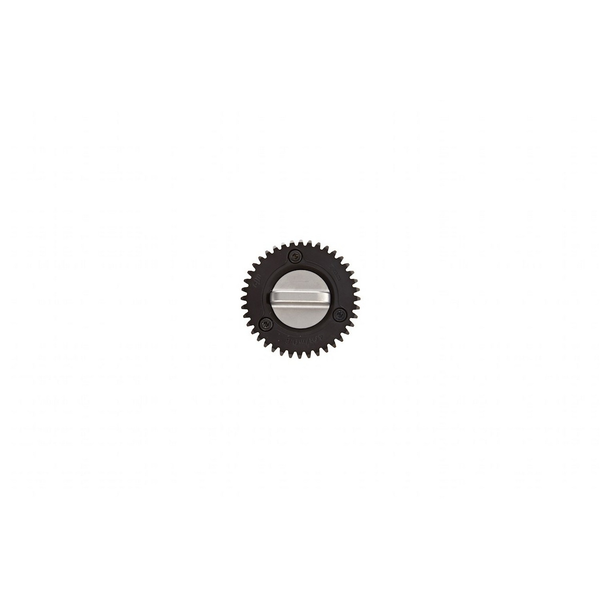 Focus Part 16 Motor Gear (MOD 0.8) (Motor fogaskerék) (Ronin)